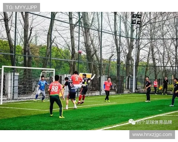 南京足球队在联赛中的团队协作表现分析与点评