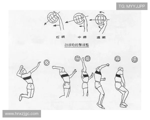 杨强独家分享排球技巧与心得助你提升球技的全面指南